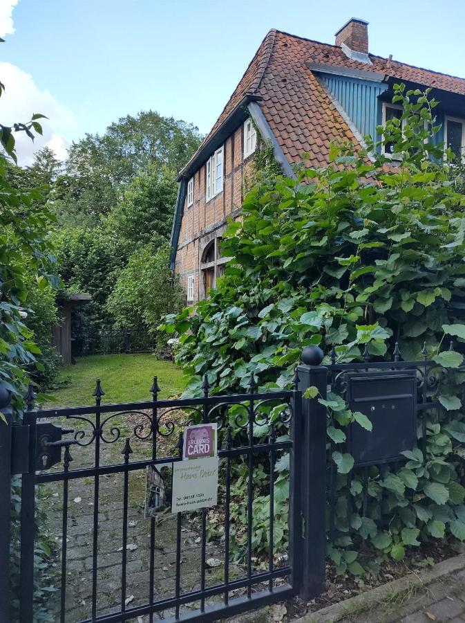 Fewo Haus Patze Betzendorf Екстериор снимка