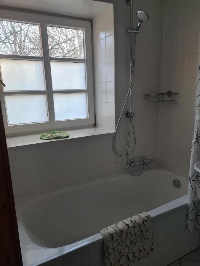 Fewo Haus Patze Betzendorf Екстериор снимка