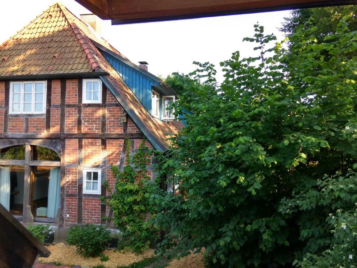 Fewo Haus Patze Betzendorf Екстериор снимка